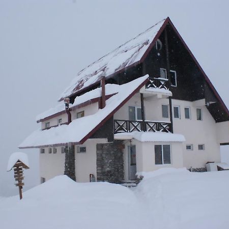 Snow House Hostel กูเดาริ ภายนอก รูปภาพ