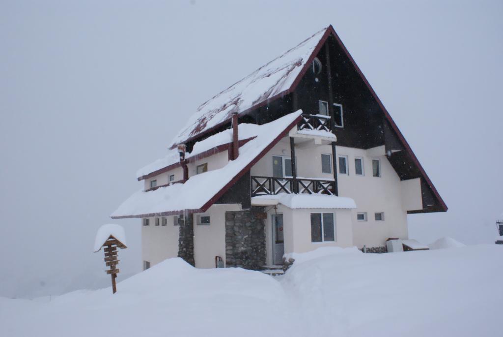 Snow House Hostel กูเดาริ ภายนอก รูปภาพ